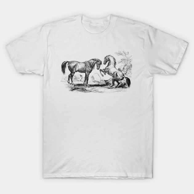 Pair of Horses Vintage Black and White Illustration by Biophilia